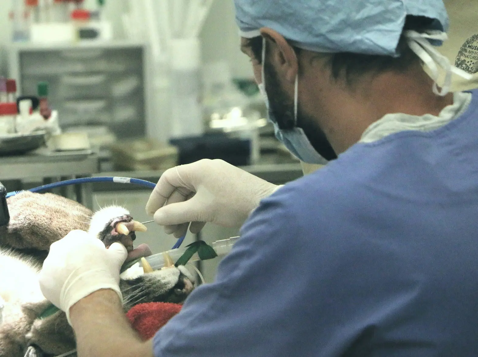 Veterinarijos klinikų žemėlapis