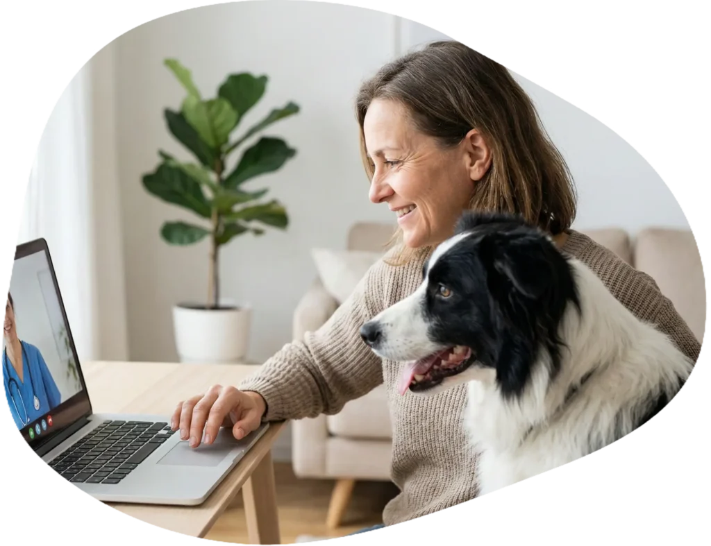 Veterinaras internetu hero pic